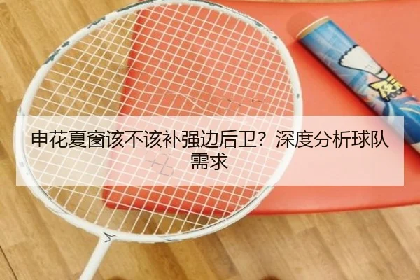 申花夏窗该不该补强边后卫？深度分析球队需求
